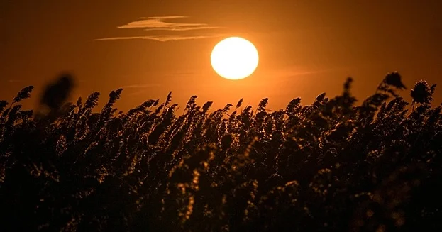 Yer kürəsindən ən böyük Günəşin doğacağı tarix açıqlanıb...