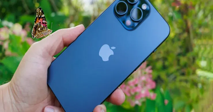 Bakıda maşın qiymətinə olan telefon oğurlandı