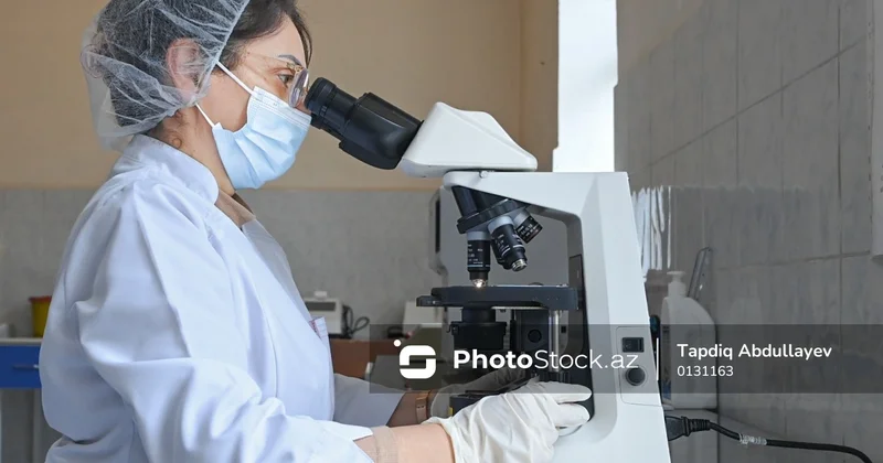 Azərbaycanda tibb işçilərinin sayı azalıb