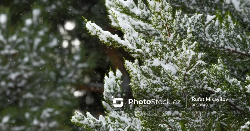 Sabah rayonlarda qar yağacaq 26.12.2025