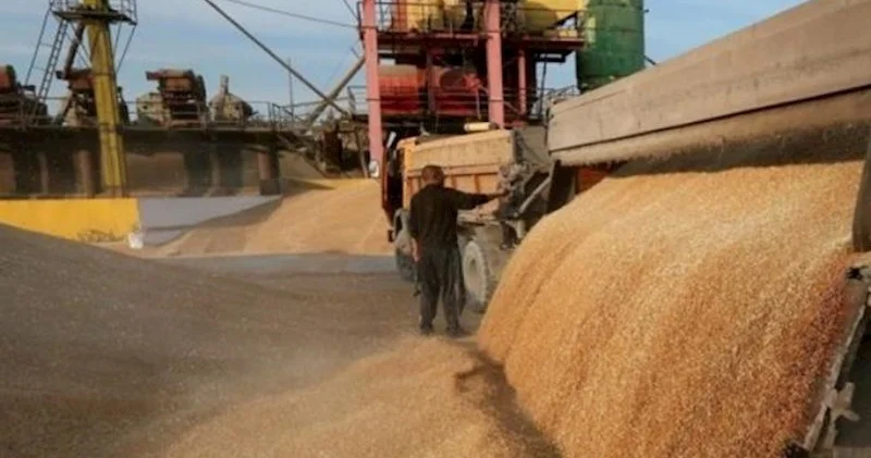 Rusiyada taxıl ixracına kvota tətbiq edilir Azərbaycana təsir edə bilərmi?