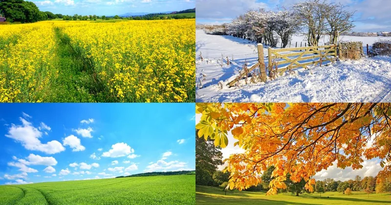 Ученые сделали сенсационное открытие о временах года на Земле