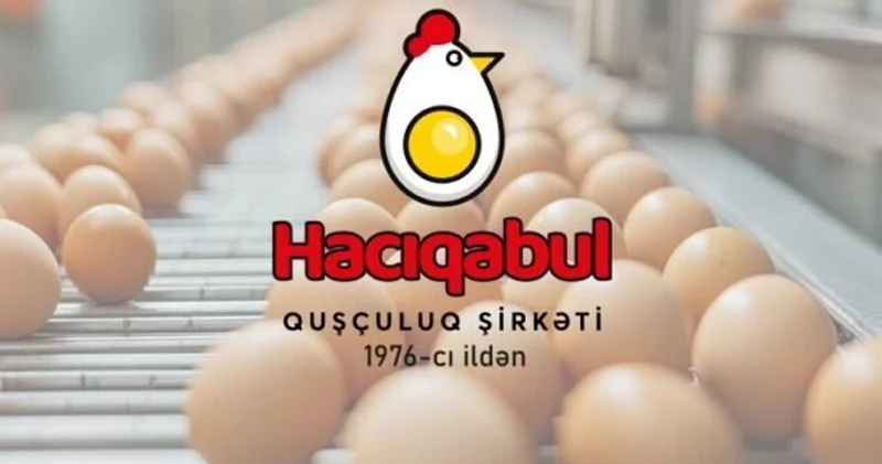 Yumurta № 1 də kabel oğurluğu