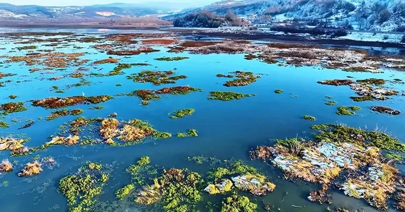 Qar yağdı, inanılmaz mənzərə ortaya çıxdı