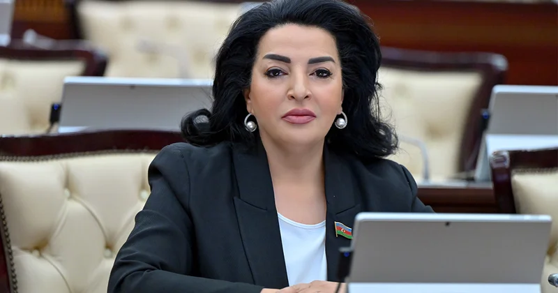 Deputat: Ermənistanın işğal siyasəti talançılıq, vandalizm və urbisid xarakterli olub