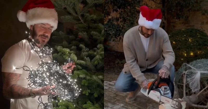 Devid Bekhem şam ağacını kəsərək evinə daşıyıb VİDEO