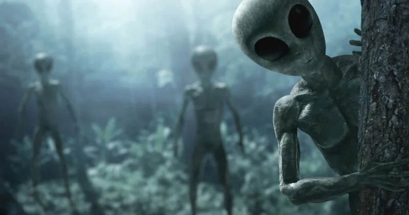 Bəşəriyyət 50 il ərzində yadplanetlilərlə qarşılaşa bilər