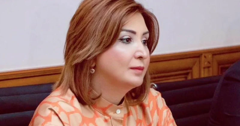 Etiraf etməliyik ki, bu prosesə gecikmişik Aynur Camalqızı