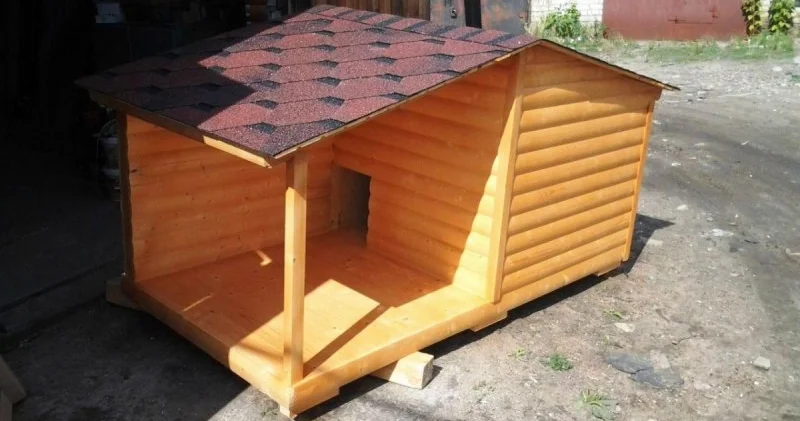 Öldürdüyü şəxsin qəbrinin üstündə it damı tikdi