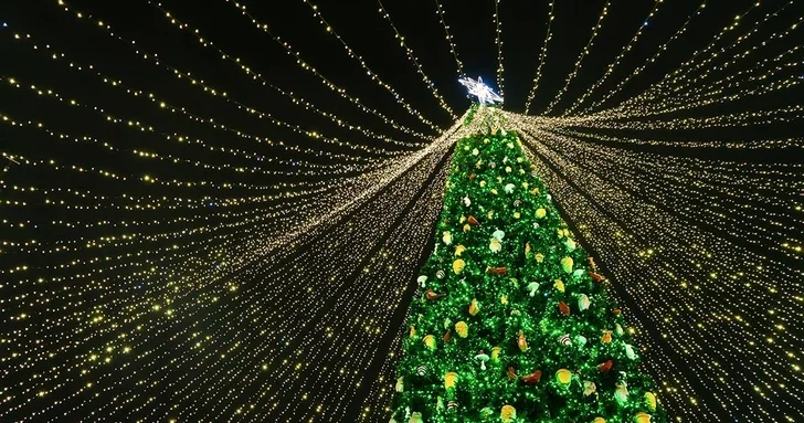 Назван топ самых высоких новогодних ёлок мира в 2025 году