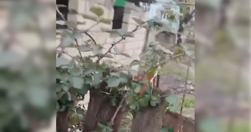 Ev sahibini öldürüb üstündə it damı tikdi Xaçmazda dəhşətli qətl