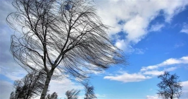 В Баку усилился ветер