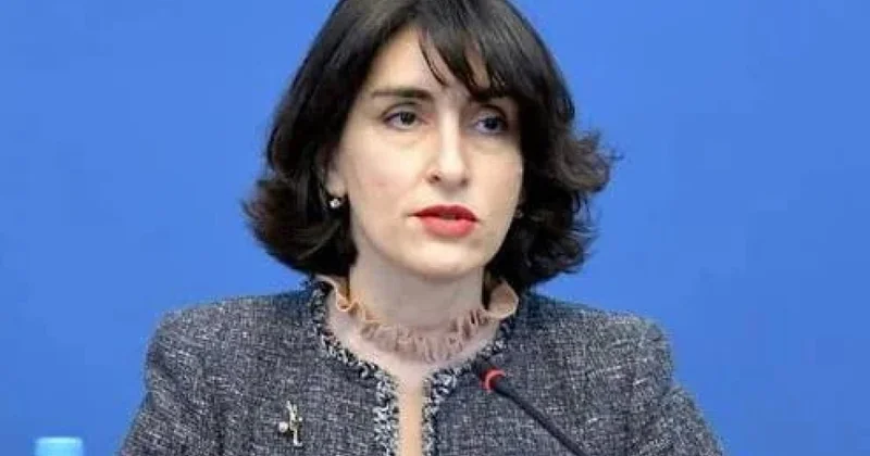 Maka Boçorişvili: Gürcüstan Avropa İttifaqı üçün də zəruri ölkədir