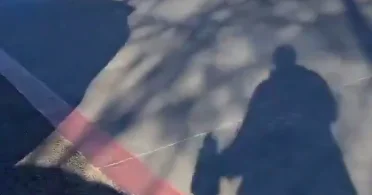 Необычная авария произошла в Техасе ВИДЕО