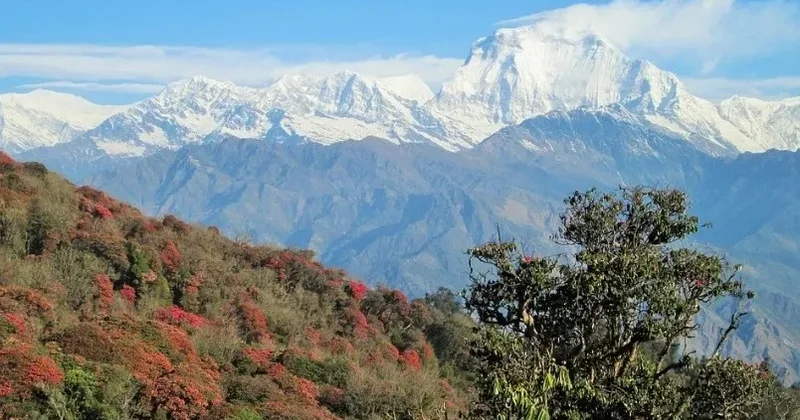 Индия ведет масштабное строительство в Гималаях, готовясь к столкновению с Китаем