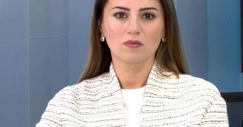 Dəyişən dünya nizamında Azərbaycan modeli