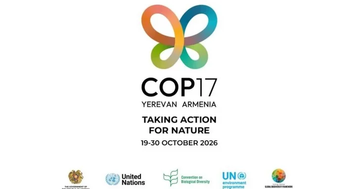 Армения ожидает участия азербайджанской делегации в COP17 в Ереване