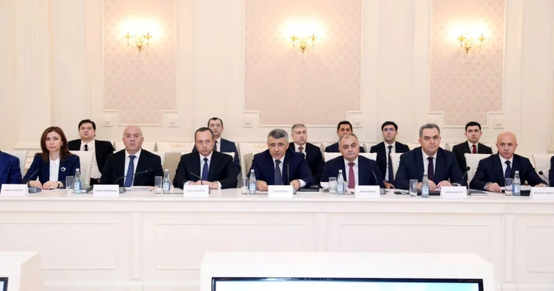 Ali Məhkəmədə cinayət işləri ilə bağlı şikayətlərin necə faizi dəyişdirilib?