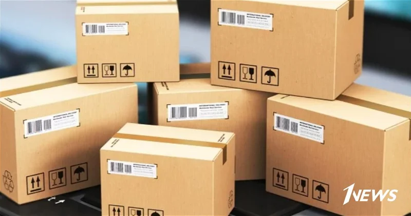 Глава парламентского комитета дал разъяснения по таможенной льготе в $300