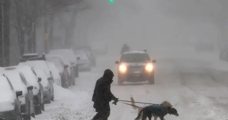 Половину США занесло снегом: около миллиона без света, во многих штатах транспортный коллапс