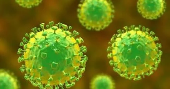 Ölkəmizdə yayılan yeni virus təşviş yaradır: TƏCİLİ...