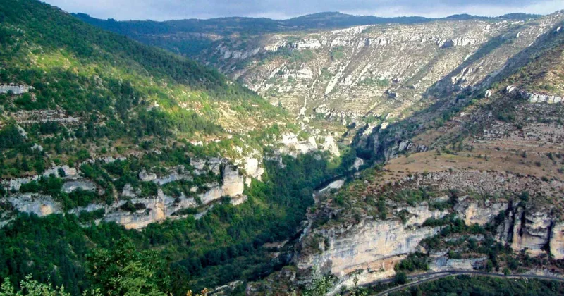 Şəmkirdə dərədən meyiti tapılan şəxsin qətlə yetirildiyi MƏLUM OLDU