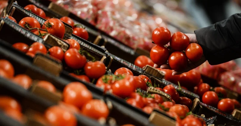 Mövsümü olmasa da bazarda pomidor niyə ucuz satılır?
