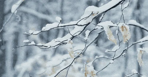 Yağış, qar... Sabahın havası