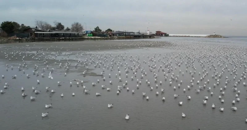 Türkiyədə hamı bu görüntülərdən DANIŞIR FOTOlar