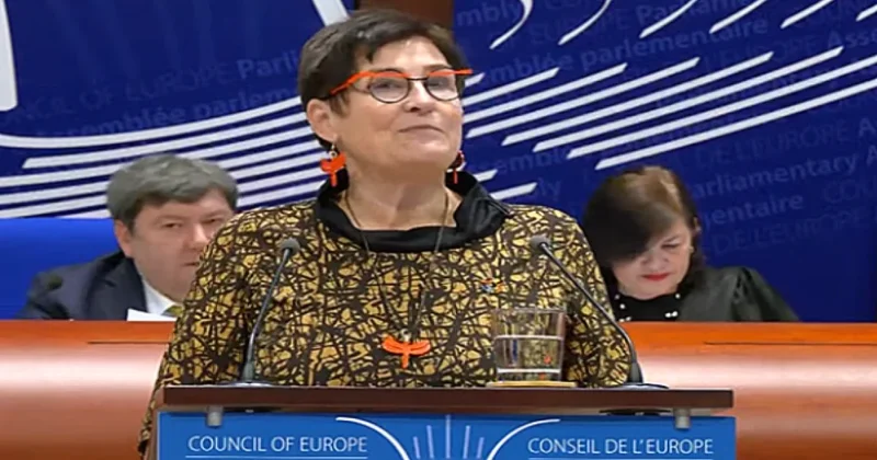 ПАСЕ возглавила депутат из Австрии Петра Байер