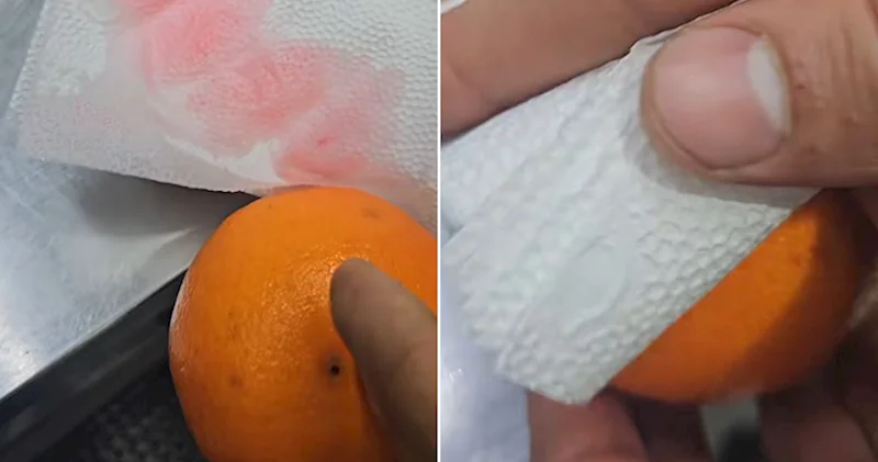 Azərbaycana gətirilən portağallar süni şəkildə rəngləndirilir? Video