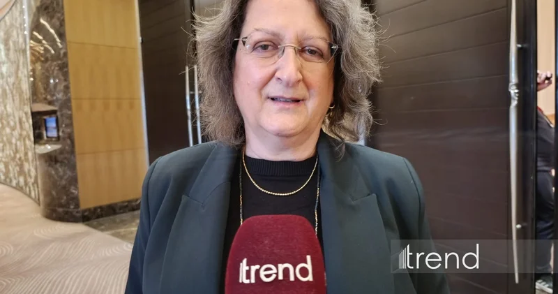 Зеленая энергетика является перспективной сферой сотрудничества между Израилем и Азербайджаном МИД Израиля (Эксклюзив)