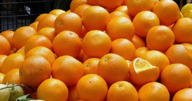 Portağalların süni şəkildə rənglənməsi məsələsinə aydınlıq gətirildi