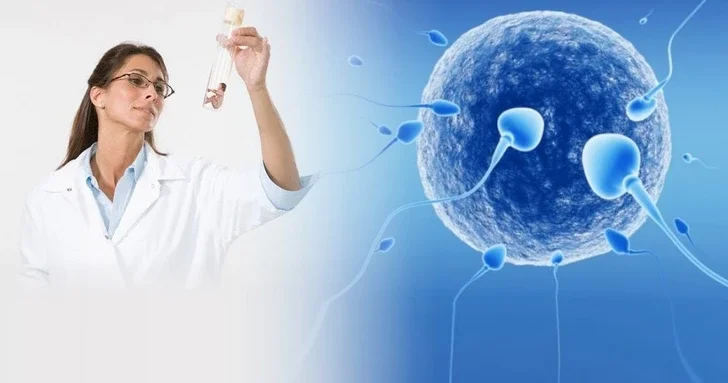 Угроза генофонду: в Азербайджане призывают взять под контроль сферу искусственного оплодотворения