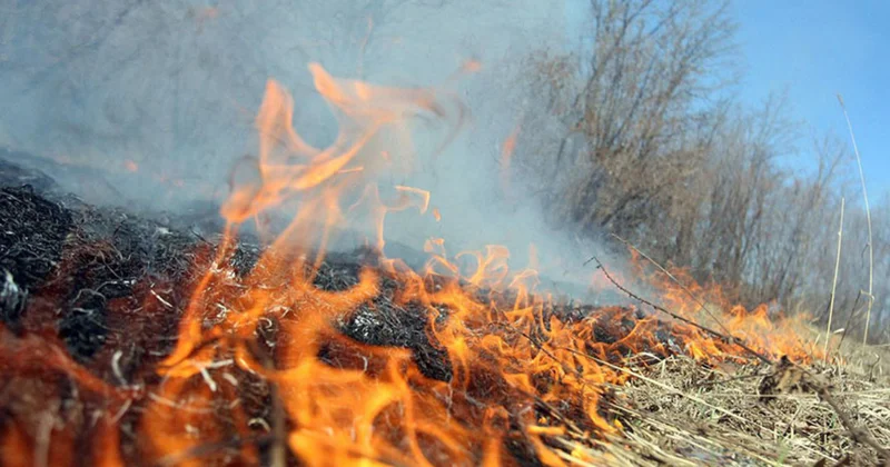 Əkin yerlərini yandıranlar 7 min manat CƏRİMƏLƏNƏCƏK
