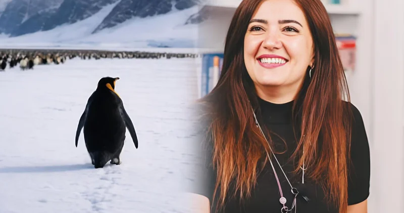 Sağ qalmağı deyil, yaşamağı seçən nihilist pinqvin…