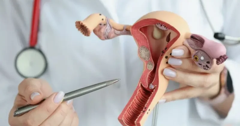 Həkim: Ginekoloji müayinələr mütləqdir, sağlam cəmiyyət sağlam qadınla başlayır