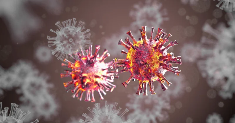 Вирус Нипах нашли у летучих мышей в Таиланде