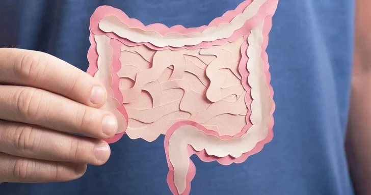 Найдена генетическая причина воспаления кишечника