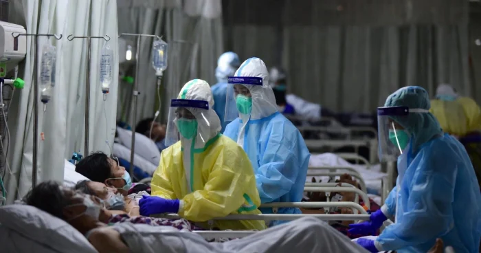 Asiyada Nipah virusu ilə əlaqədar səhiyyə tədbirləri gücləndirilib