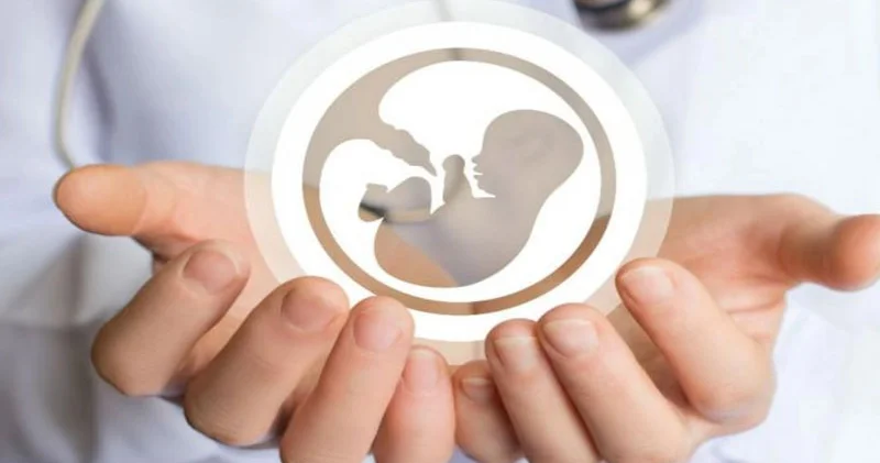 Bacı qardaşların təsadüfən evlənməsi riski Ekspertdən xəbərdarlıq