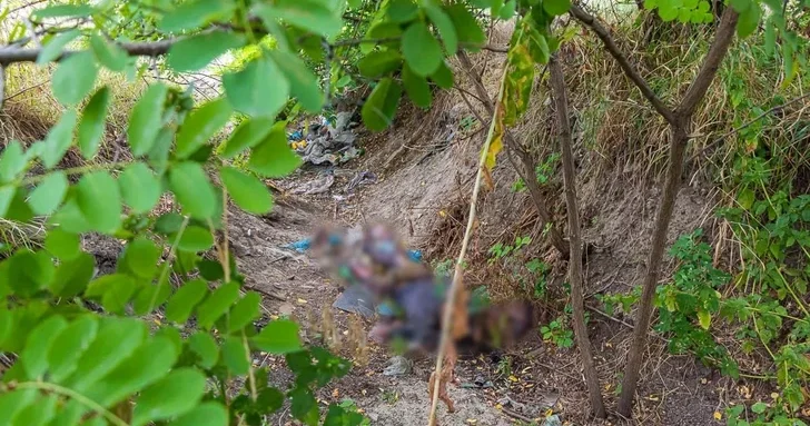 Найденный в овраге в Шамкирском районе мужчина оказался жертвой убийства