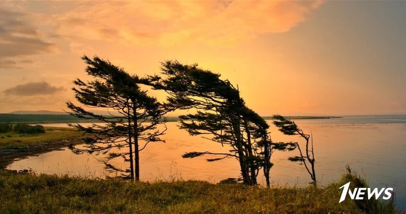 Погода на вторник: В Баку усилится ветер