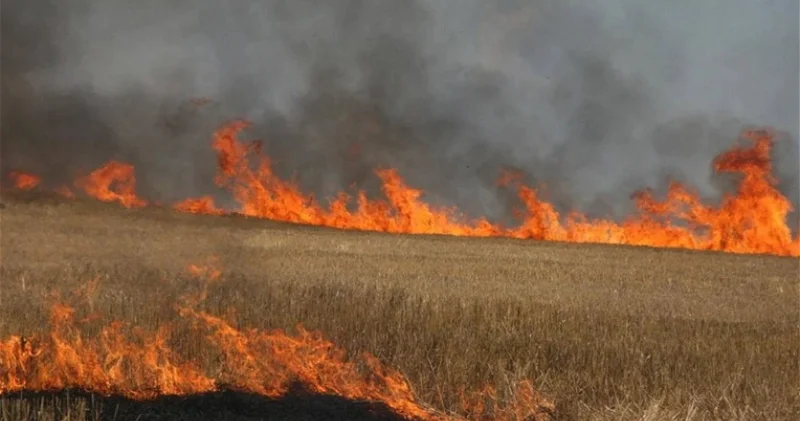 Президент Азербайджана утвердил новые штрафы за поджог пахотных земель