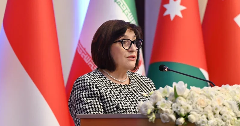 Продвижение межкультурного и межцивилизационного диалога не выбор, а необходимость Сахиба Гафарова (ФОТО)