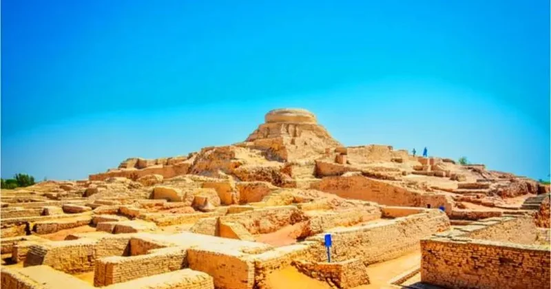 Yer kürəsinin ən sirli canlıları FOTO