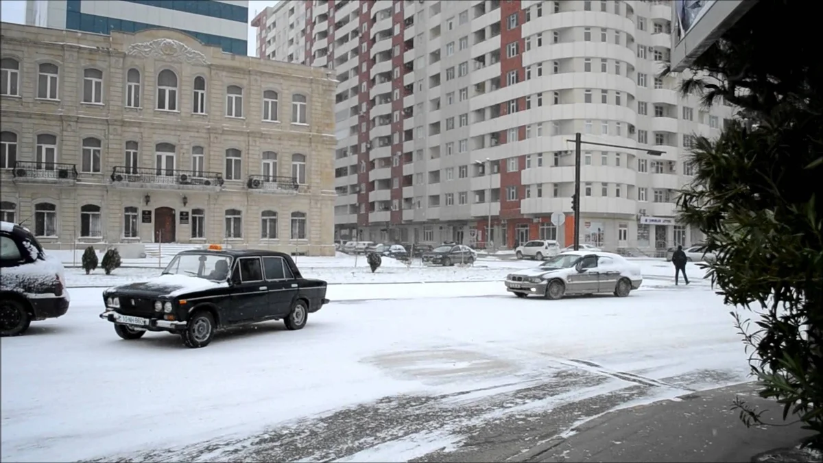 Дорожная полиция обратилась к водителям и пешеходам