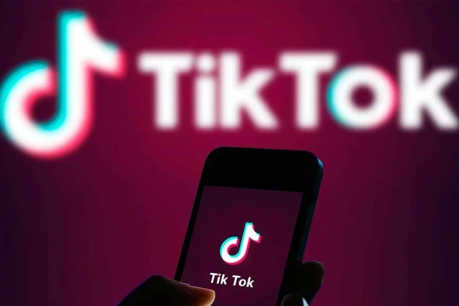 TikTok dan ŞOK qazanc