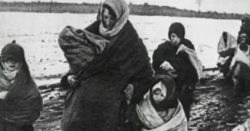 Долгая тень Чечевицы : от сталинских эшелонов к кремлевской вертикали ВЗГЛЯД