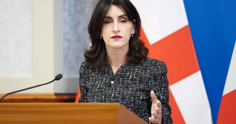 Грузия не будет вводить санкций против России Заявление министра